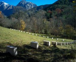 Autres Produits Du Terroir Alpes De Haute Provence Tourisme