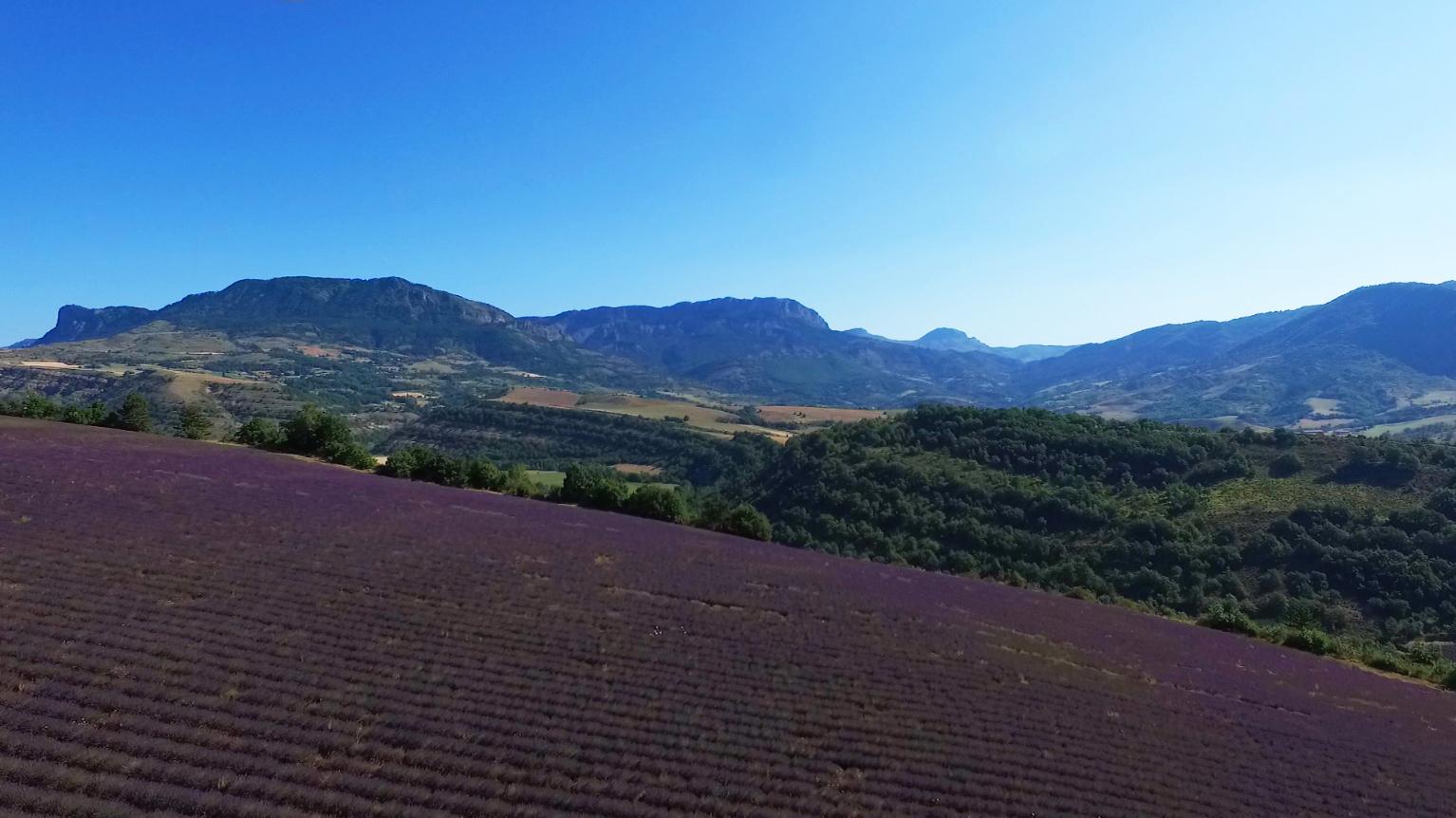 UNESCO Géoparc de HauteProvence  Alpes de Haute Provence Tourisme